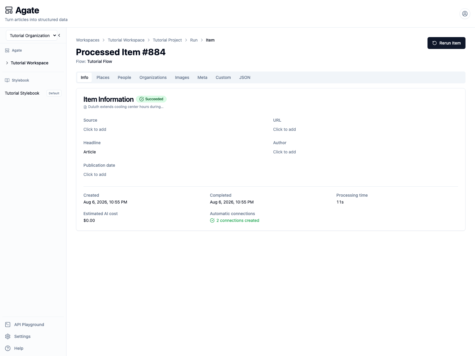 The processed item created by the API run