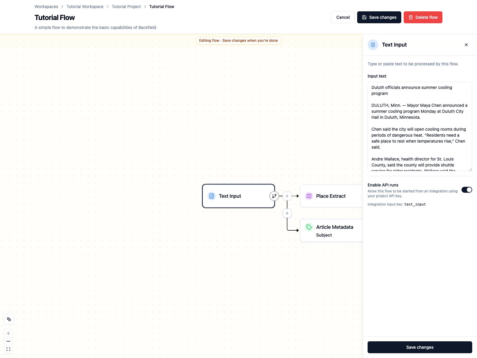 Enable API runs on the Text Input node